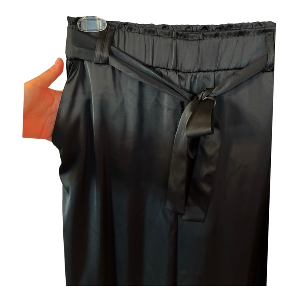 JOIE Cropped Pants Elastic Waist Satin Charmeuse Black Belted Medium NWOT - Picture 3 of 9